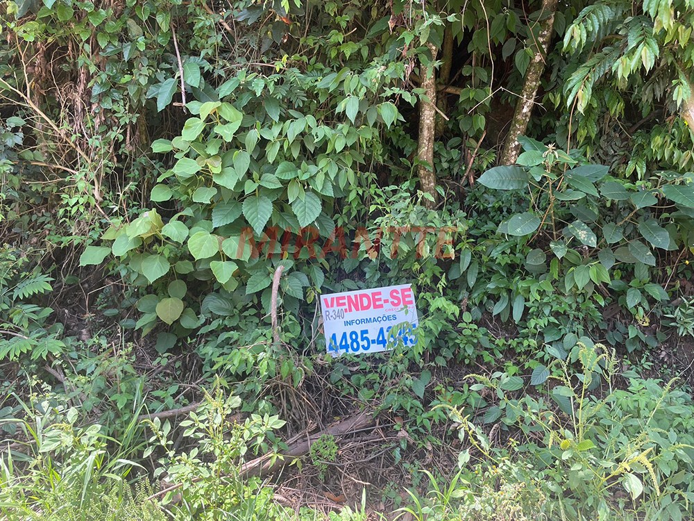 Terreno de 1.64m² em Centro – Mairiporã