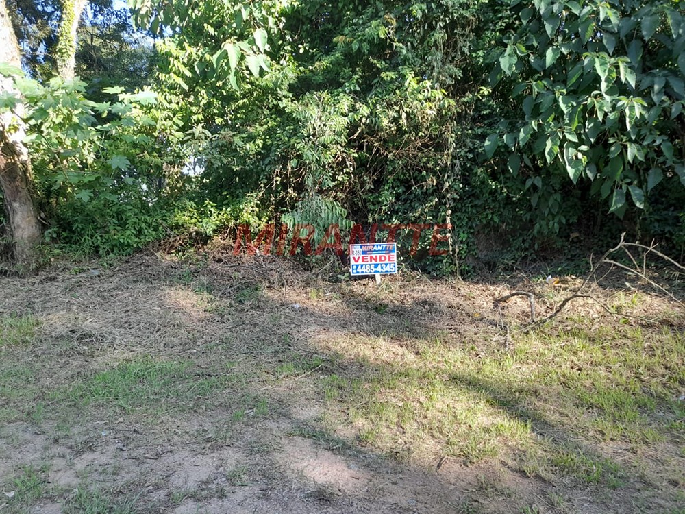 R2 Image 210235 #8