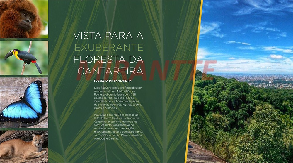 Palmas Residencial