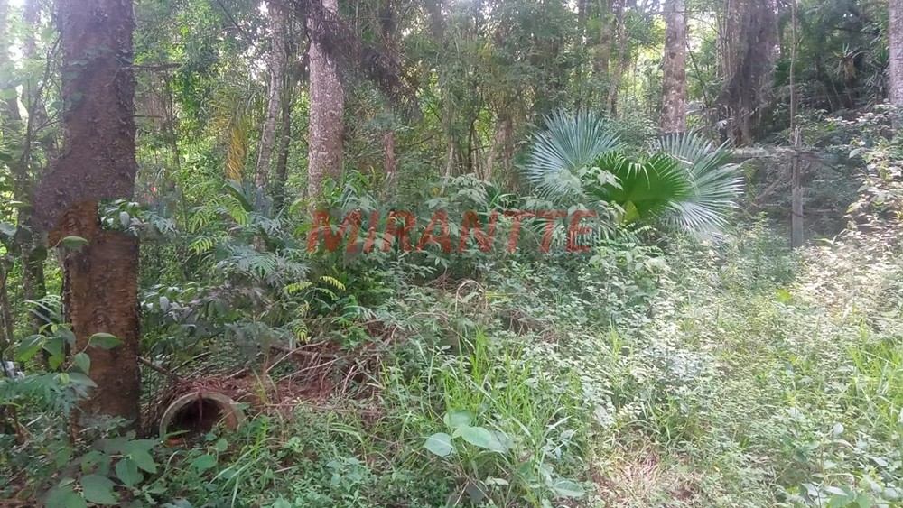 Terreno de 1.308m² em Serra Da Cantareira