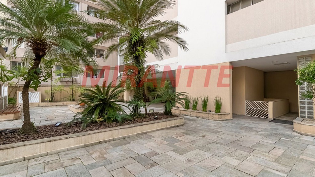 Apartamento com 3 quartos em Higienópolis
