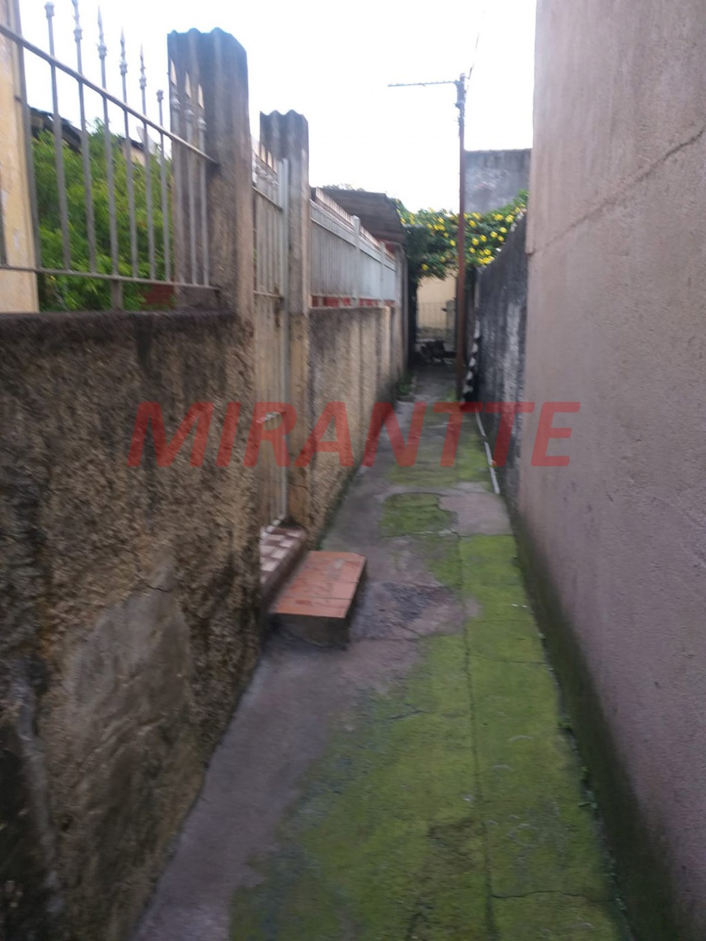 Casa terrea de 368m² com 6 quartos em Vila Mazzei
