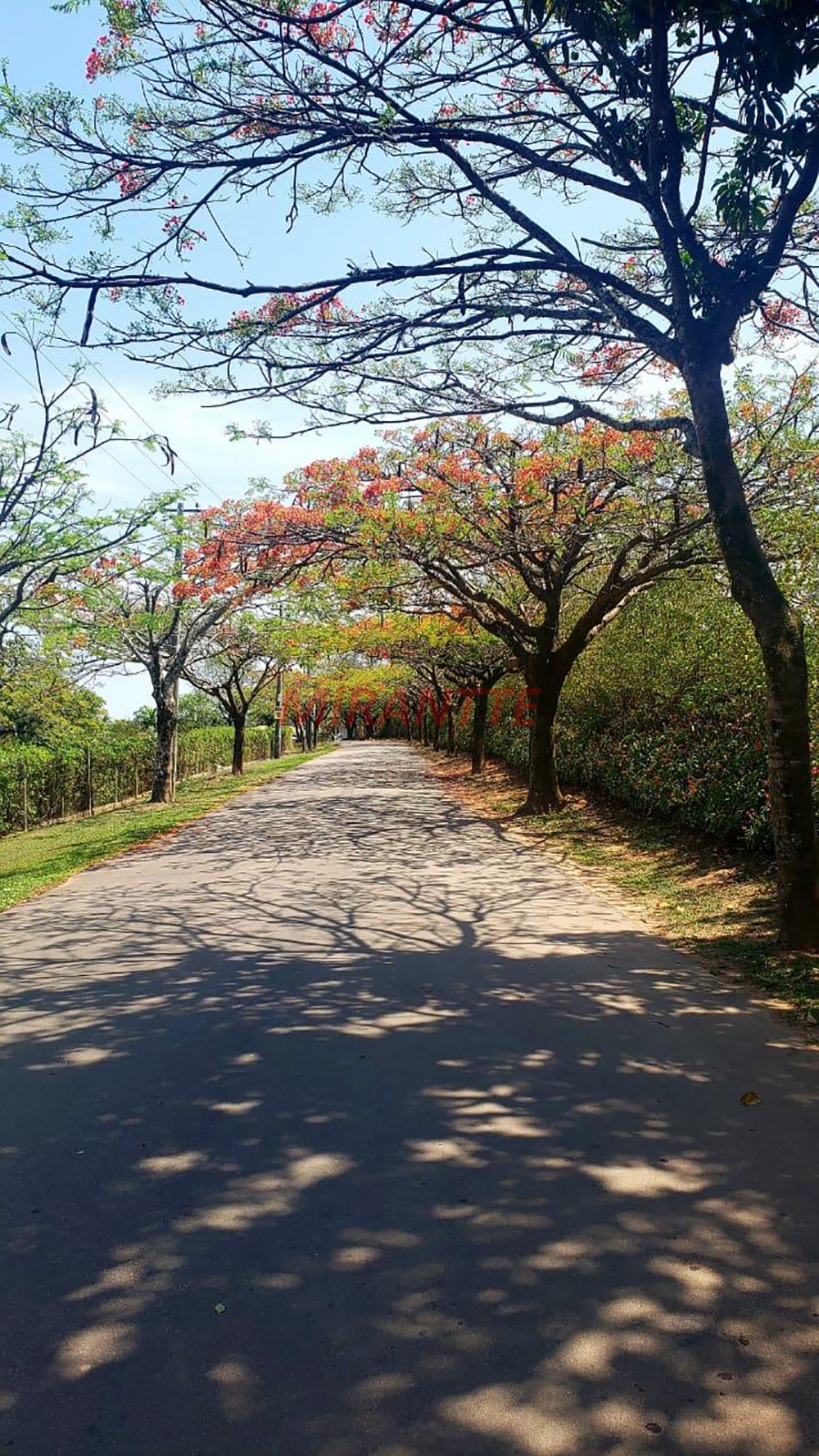 Cond. fechado de 582m² com 4 quartos em Morro Alto
