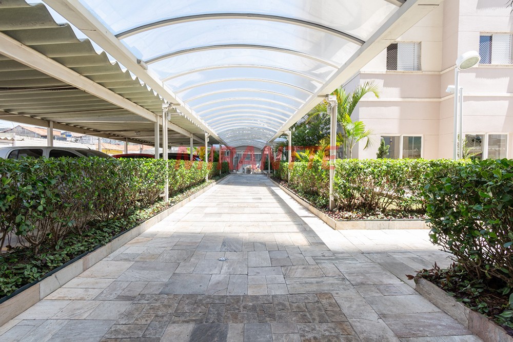 Apartamento de 46m² com 2 quartos em Vila Formosa