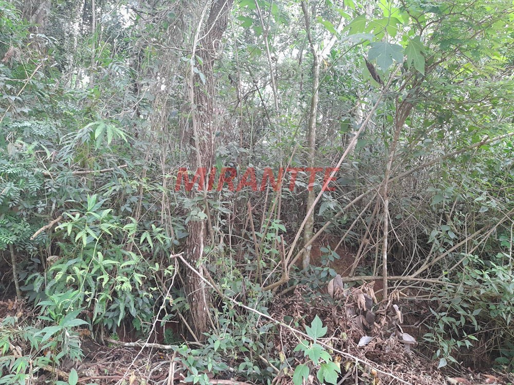 Terreno de 1810m² em Serra Da Cantareira