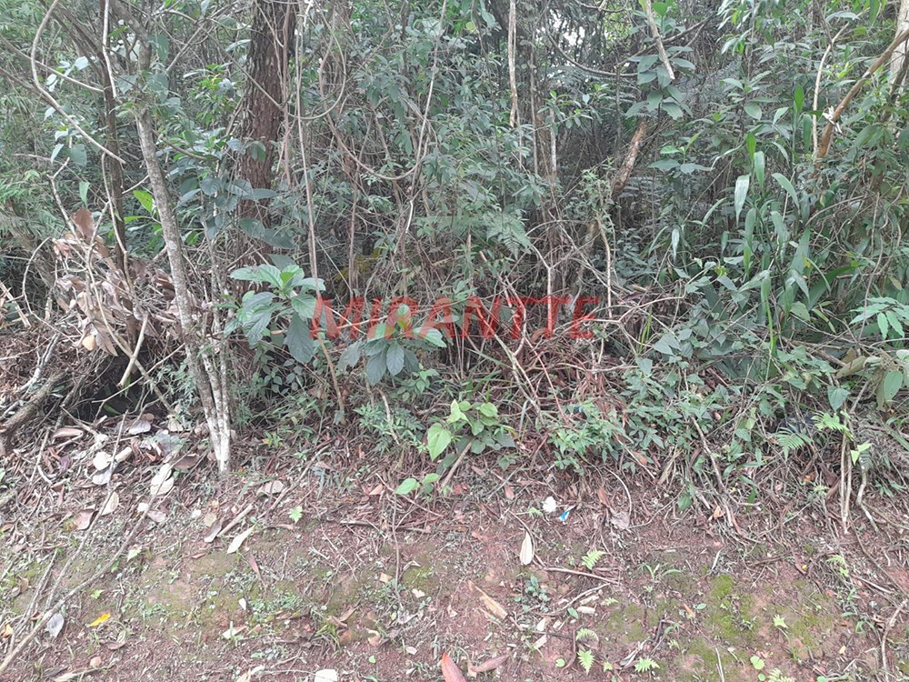 Terreno de 1810m² em Serra Da Cantareira