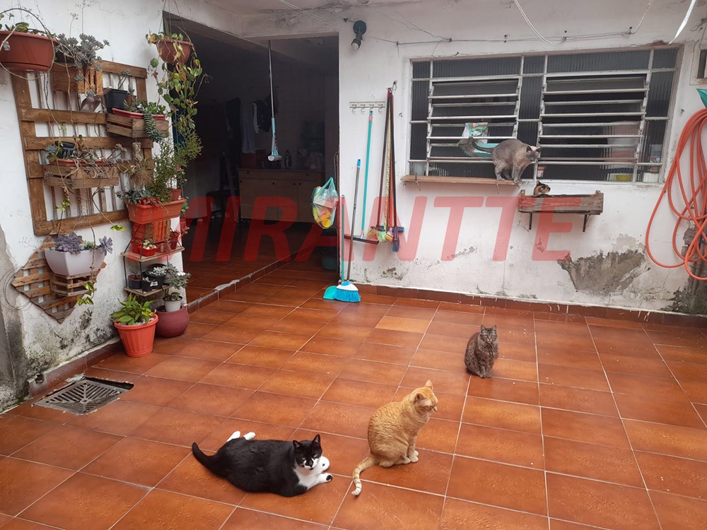 Sobrado de 240m² com 6 quartos em Vila Galvão