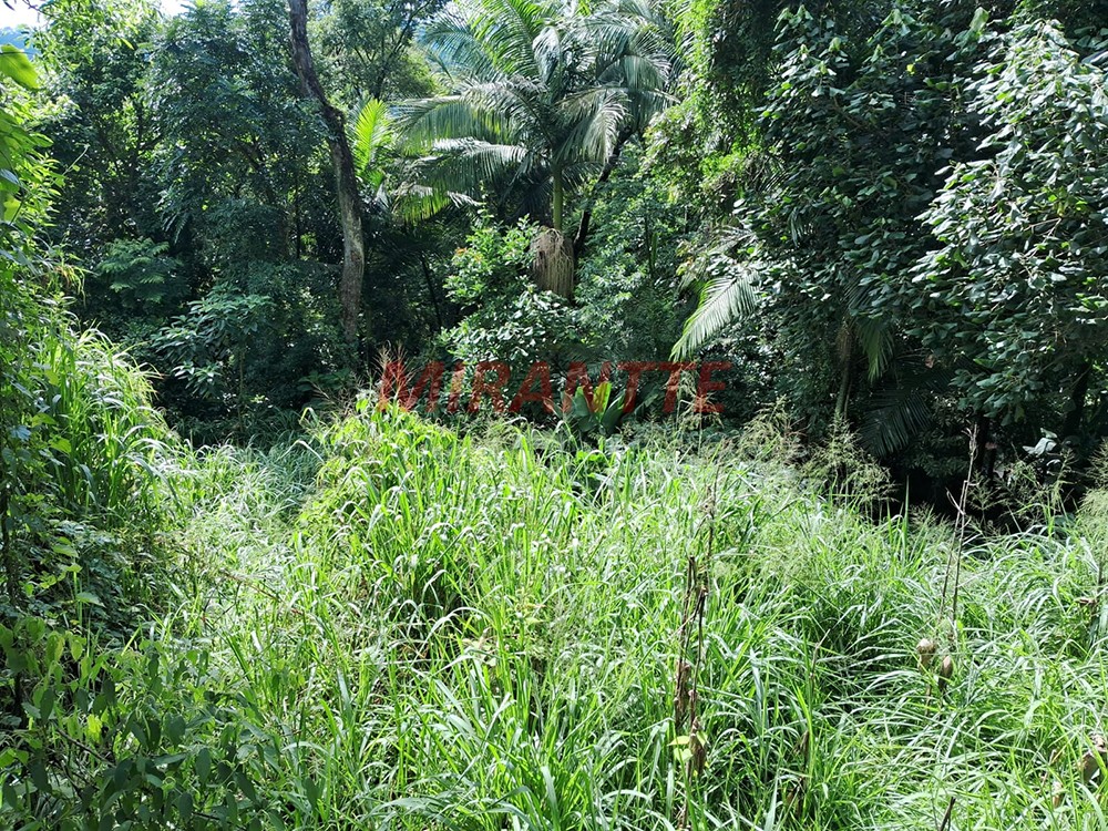 Terreno de 840m² em Serra Da Cantareira
