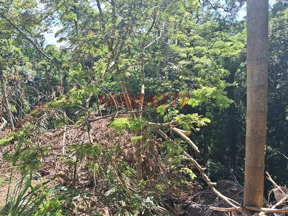 Terreno de 1100m² em Serra Da Cantareira