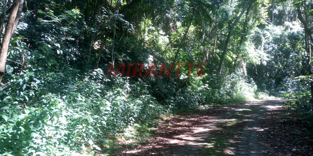 Terreno de 1000m² em Serra da Cantareira