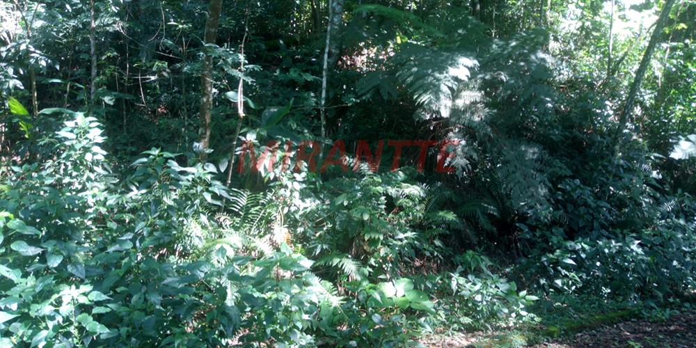 Terreno de 1000m² em Serra da Cantareira