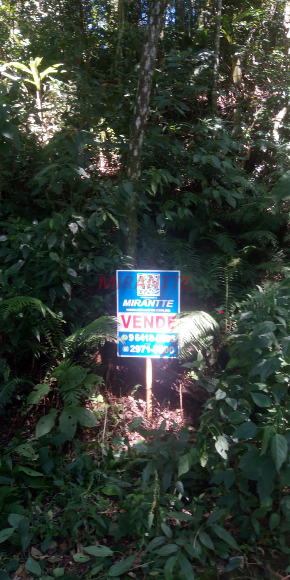 Terreno de 1000m² em Serra da Cantareira