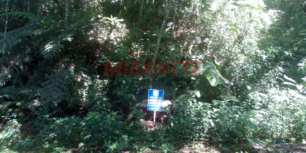 Terreno de 1000m² em Serra da Cantareira