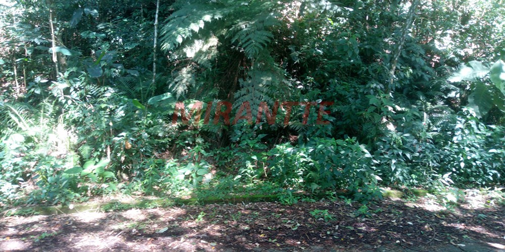 Terreno de 1000m² em Serra da Cantareira