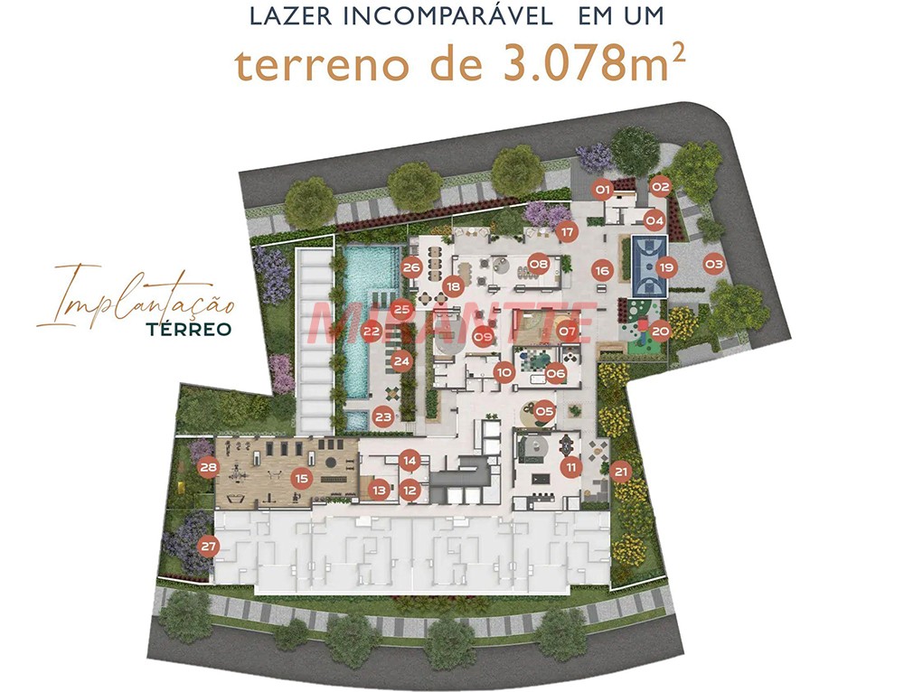 Raízes Jardim São Paulo