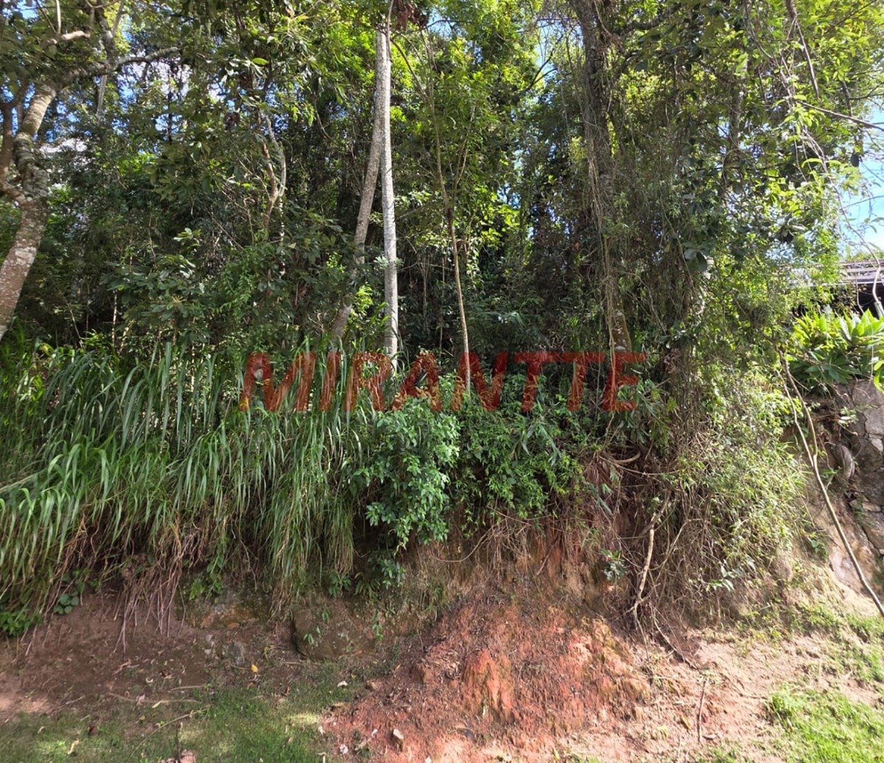Terreno de 1200m² em Serra da Cantareira