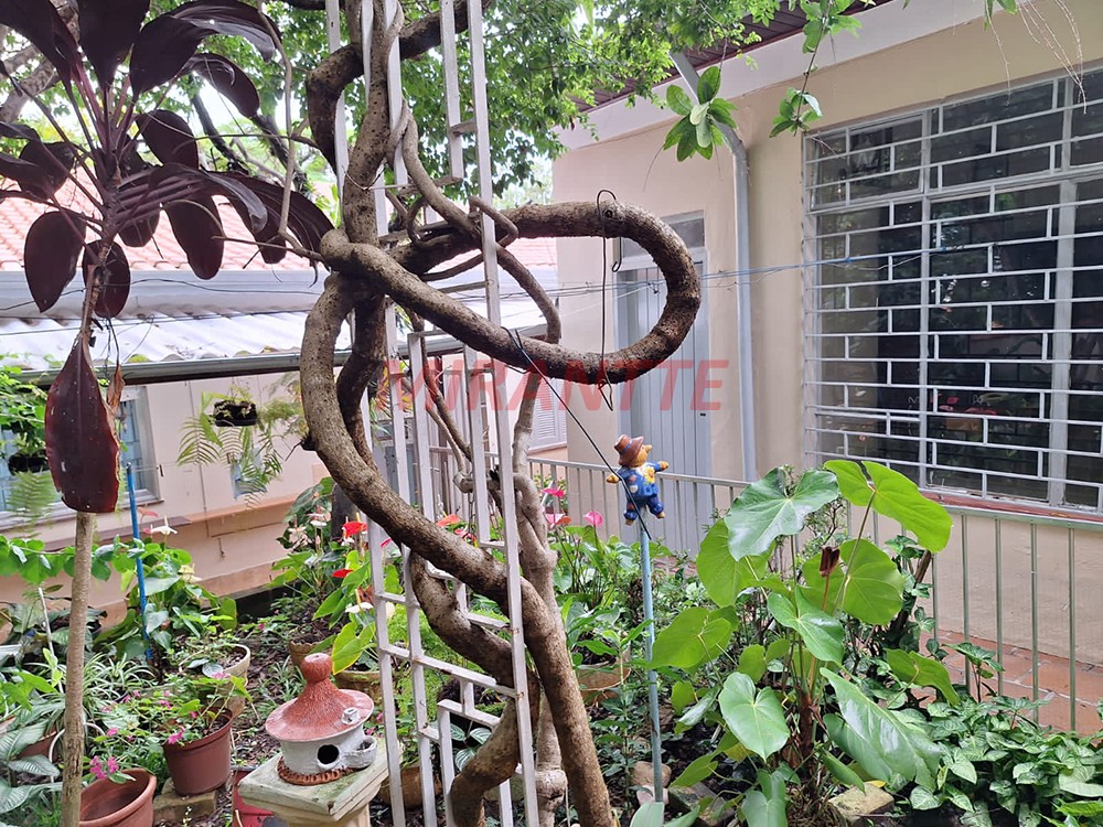 Sobrado de 228m² com 4 quartos em Jardim São Paulo