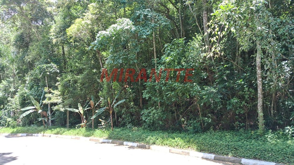 Terreno de 1020m² em Serra da Cantareira