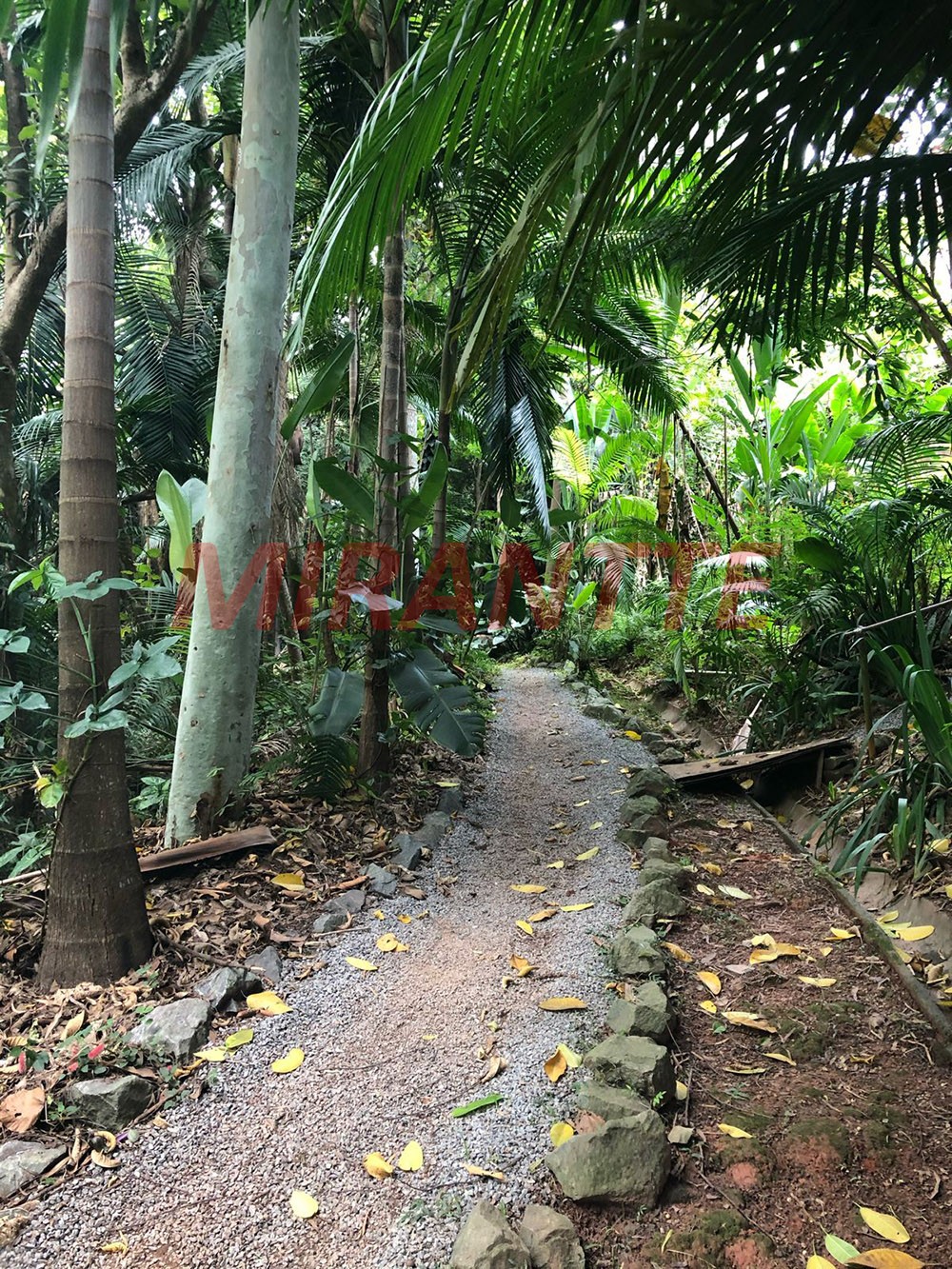 Casa terrea de 171m² com 3 quartos em Chácara Pavoeiro
