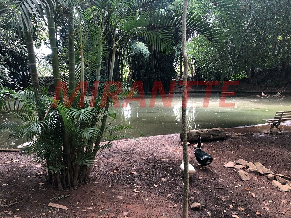 Casa terrea de 171m² com 3 quartos em Chácara Pavoeiro