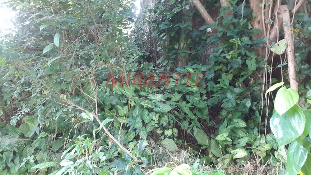 Terreno de 1.027m² em PARQUE PETROPOLIS