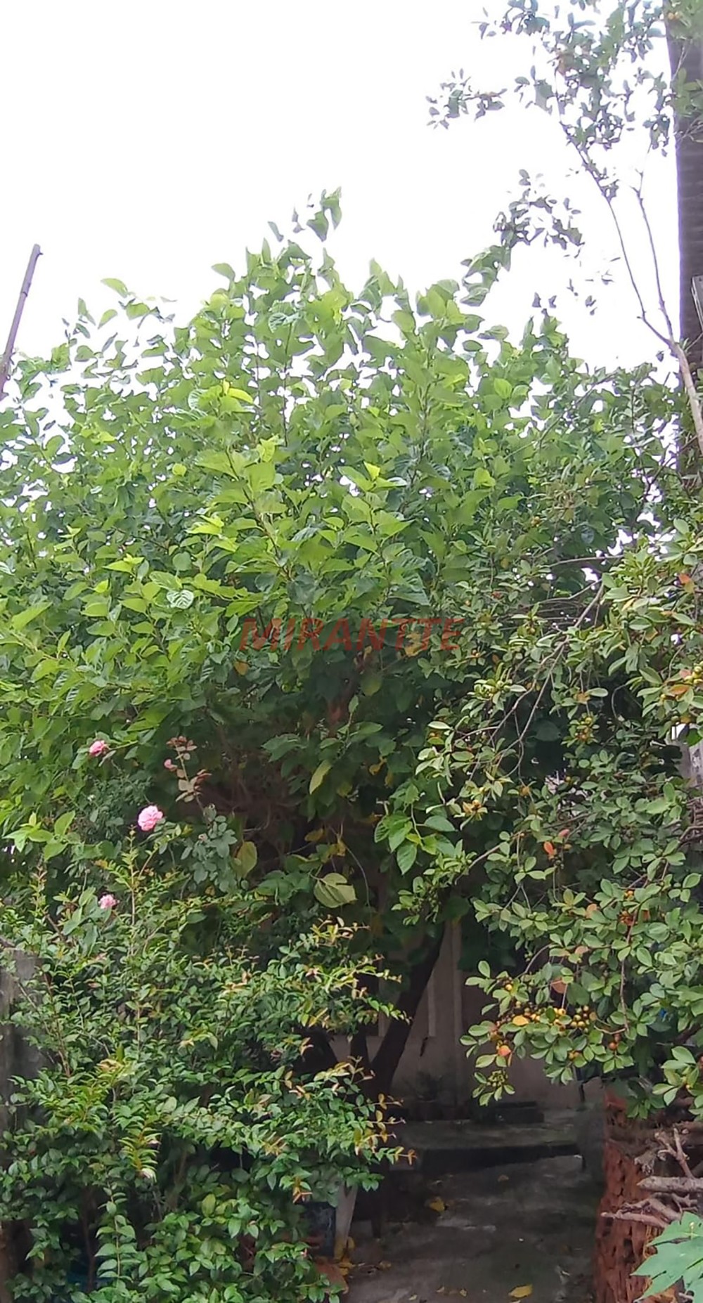 Casa terrea de 120m² com 4 quartos em Vila Gustavo