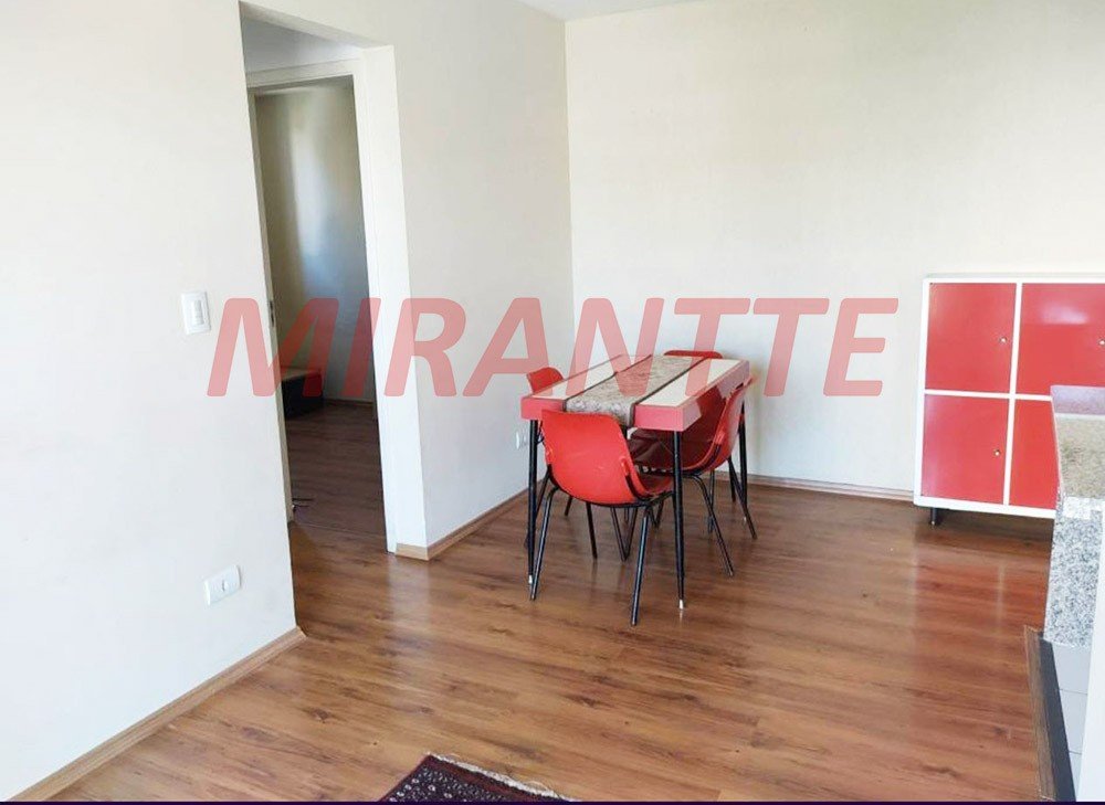 Apartamento com 2 quartos em Vila Amalia