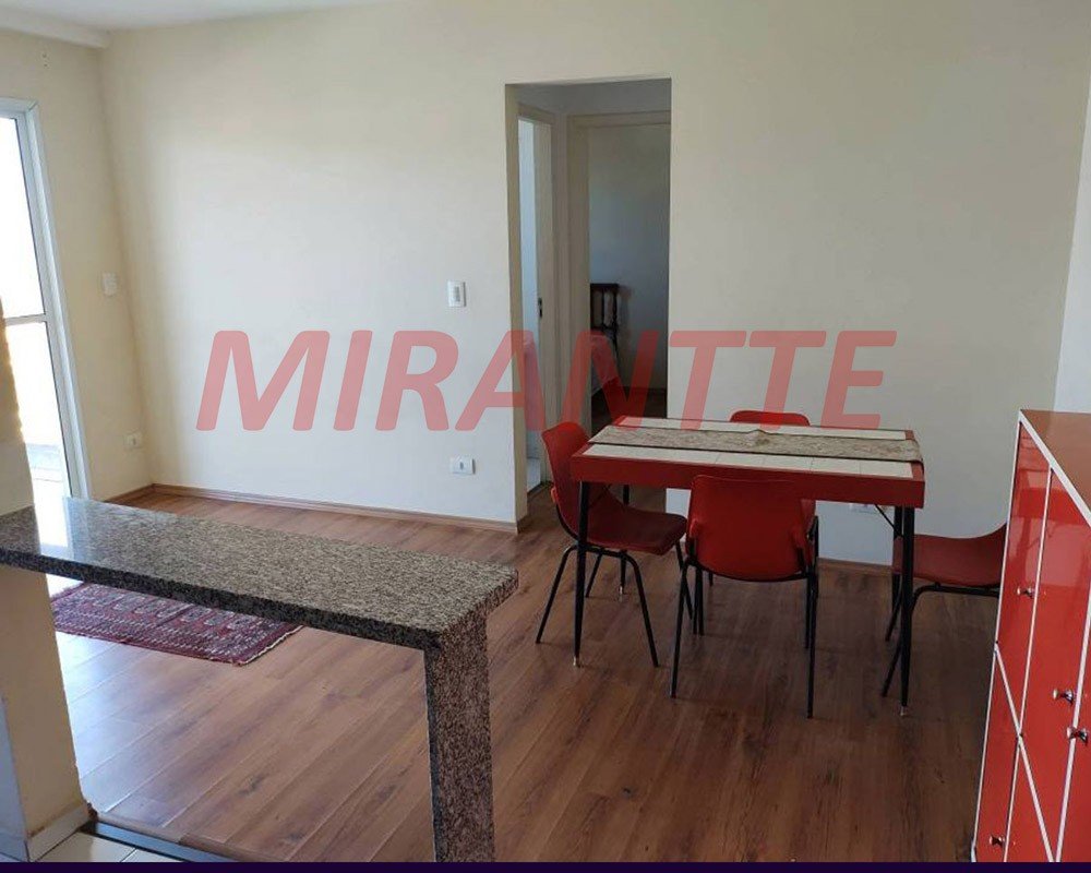 Apartamento com 2 quartos em Vila Amalia