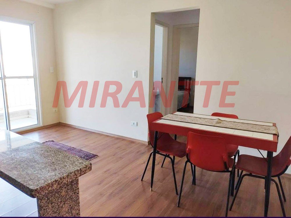Apartamento com 2 quartos em Vila Amalia
