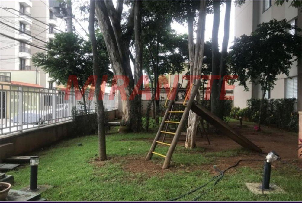 Apartamento com 2 quartos em Vila Amalia