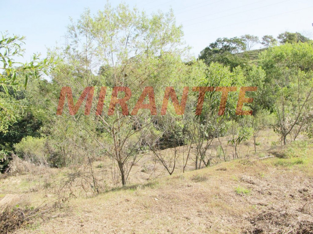 Terreno de 2100m² em Vista Alegre