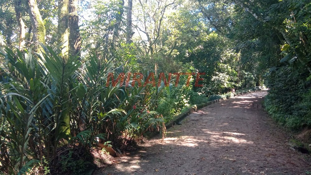 Terreno de 1195m² em Serra Da Cantareira