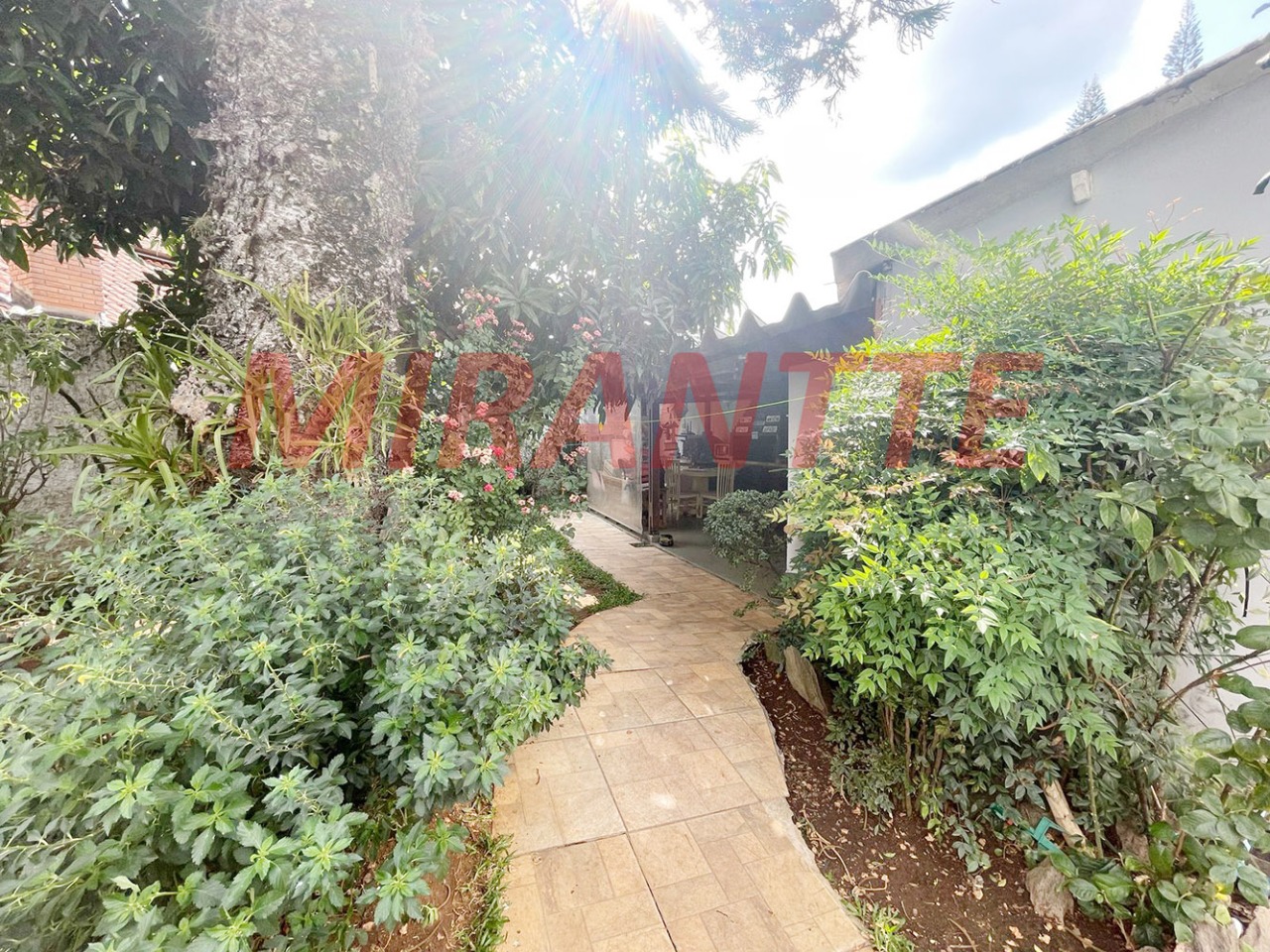Casa terrea de 240m² com 3 quartos em Vila Albertina