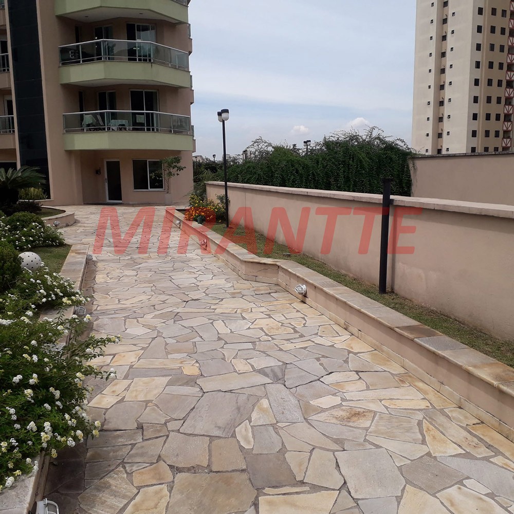 Apartamento com 3 quartos em Parque Mandaqui
