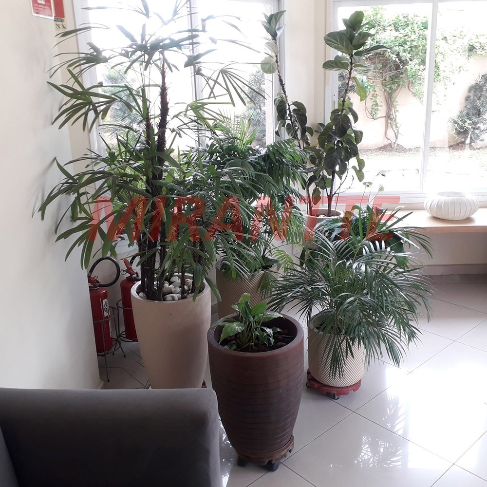 Apartamento com 3 quartos em Parque Mandaqui