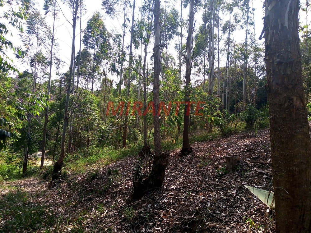 Outros em Vila Moraes