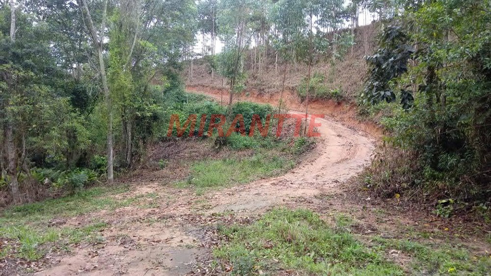 Outros em Vila Moraes