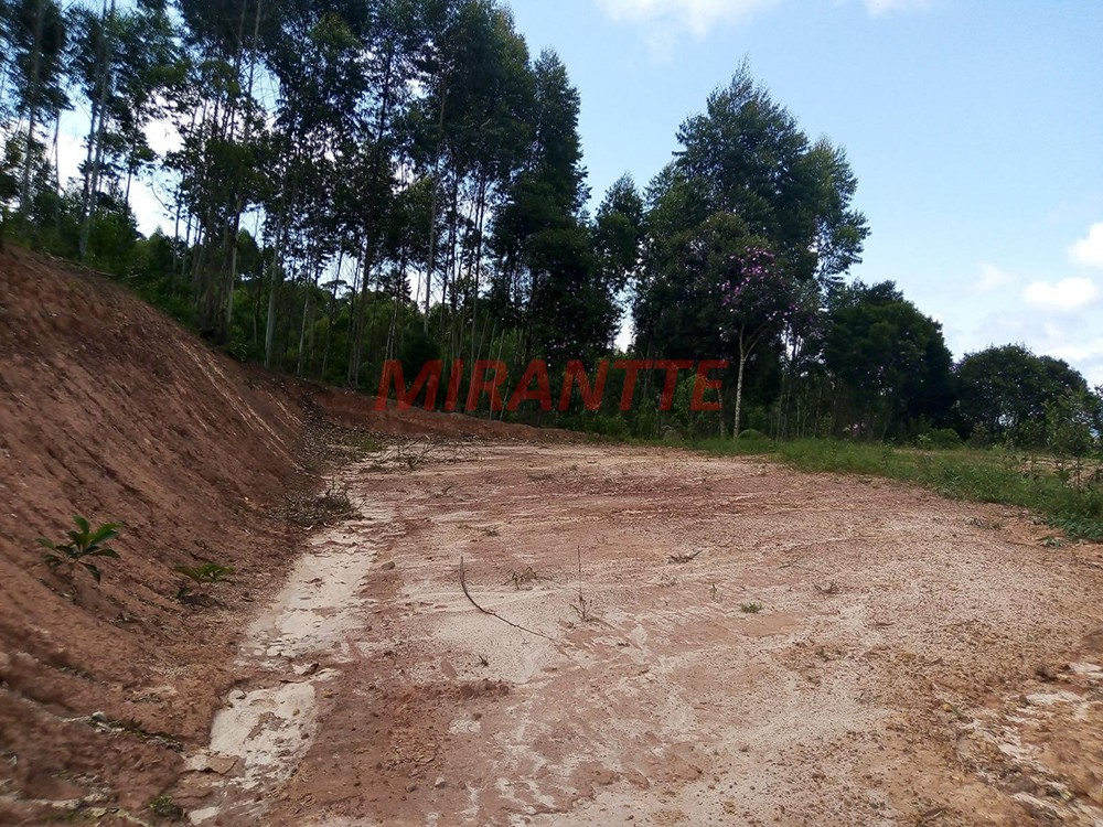 Outros em Vila Moraes