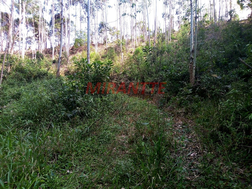 Outros em Vila Moraes