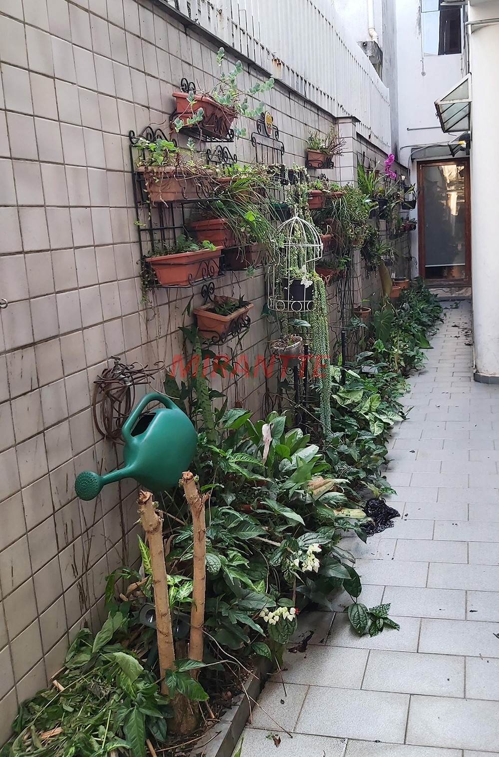 Sobrado de 220m² com 3 quartos em Belenzinho