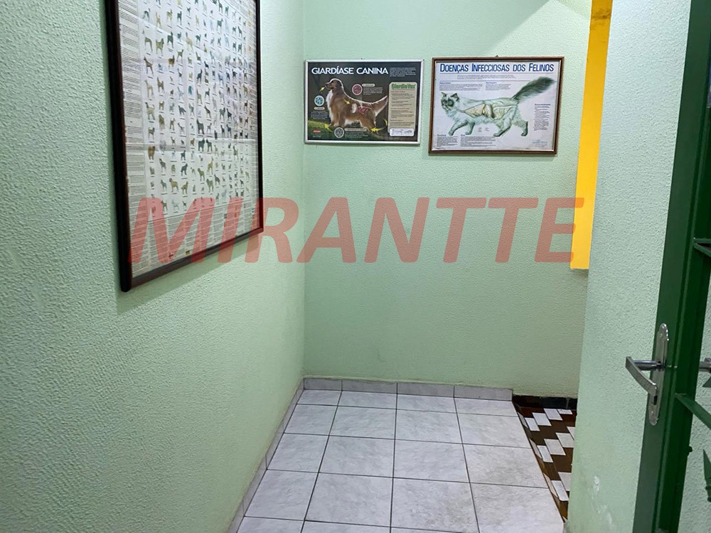 Comercial de 223m² em Vila Nova Cachoeirinha