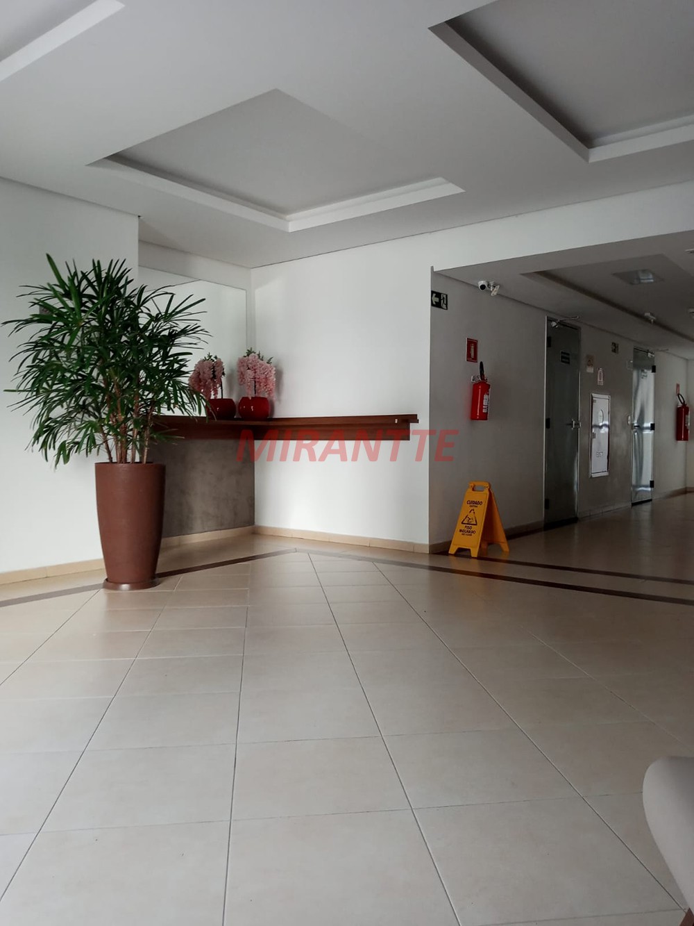 Apartamento com 3 quartos em Mandaqui