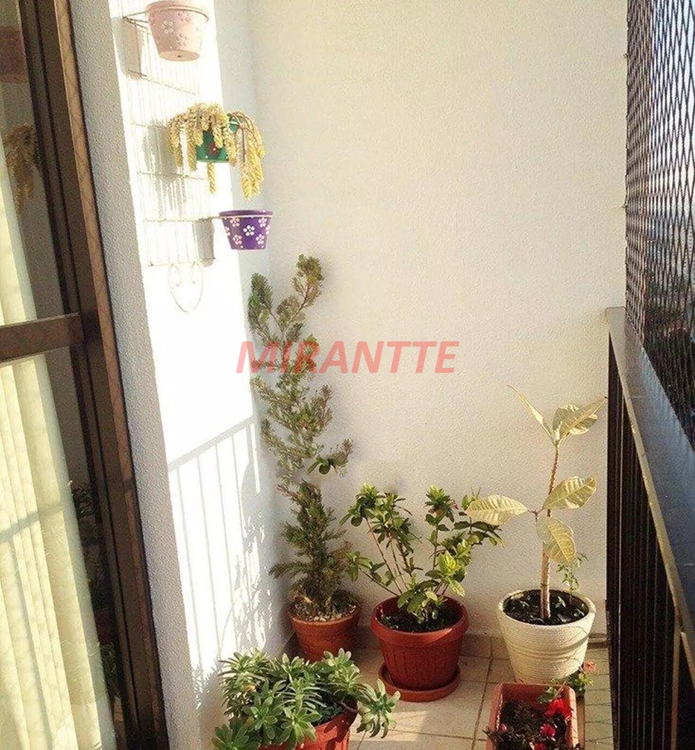 Apartamento de 75m² com 3 quartos em Vila Guilherme