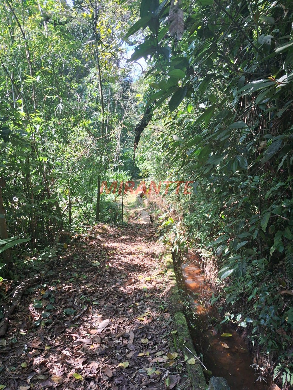 Terreno de 4m² em Serra da Cantareira
