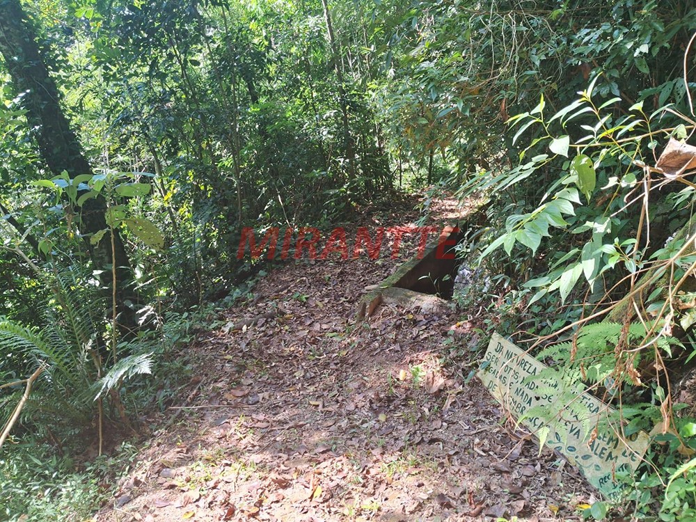 Terreno de 4m² em Serra da Cantareira