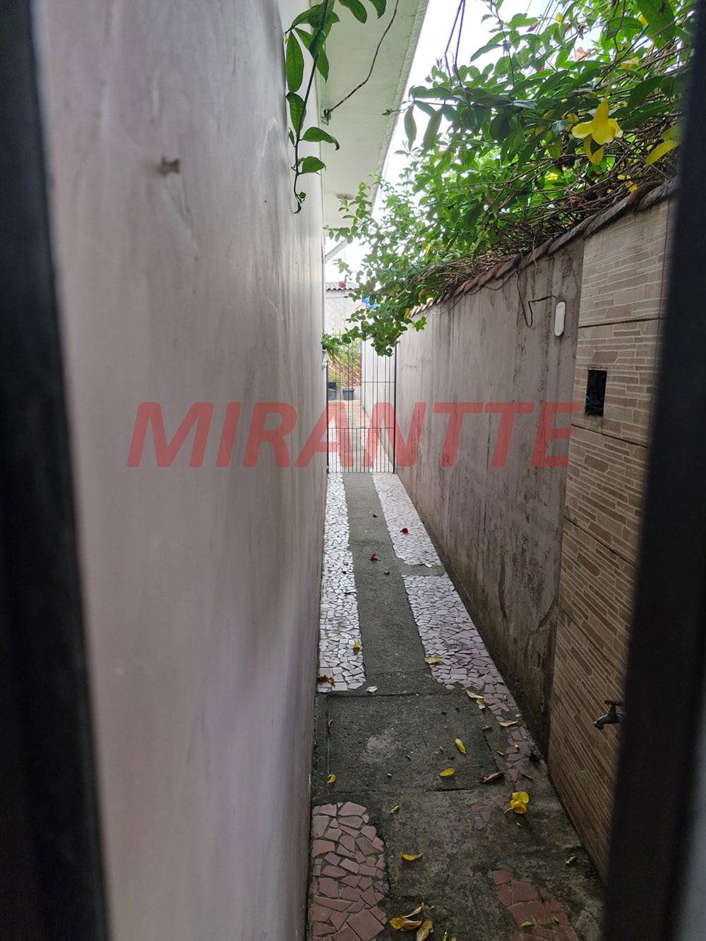 Casa terrea de 185m² com 3 quartos em Vila Maria Baixa