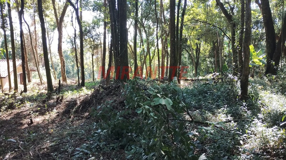 Terreno de 1300m² em Santa Ines