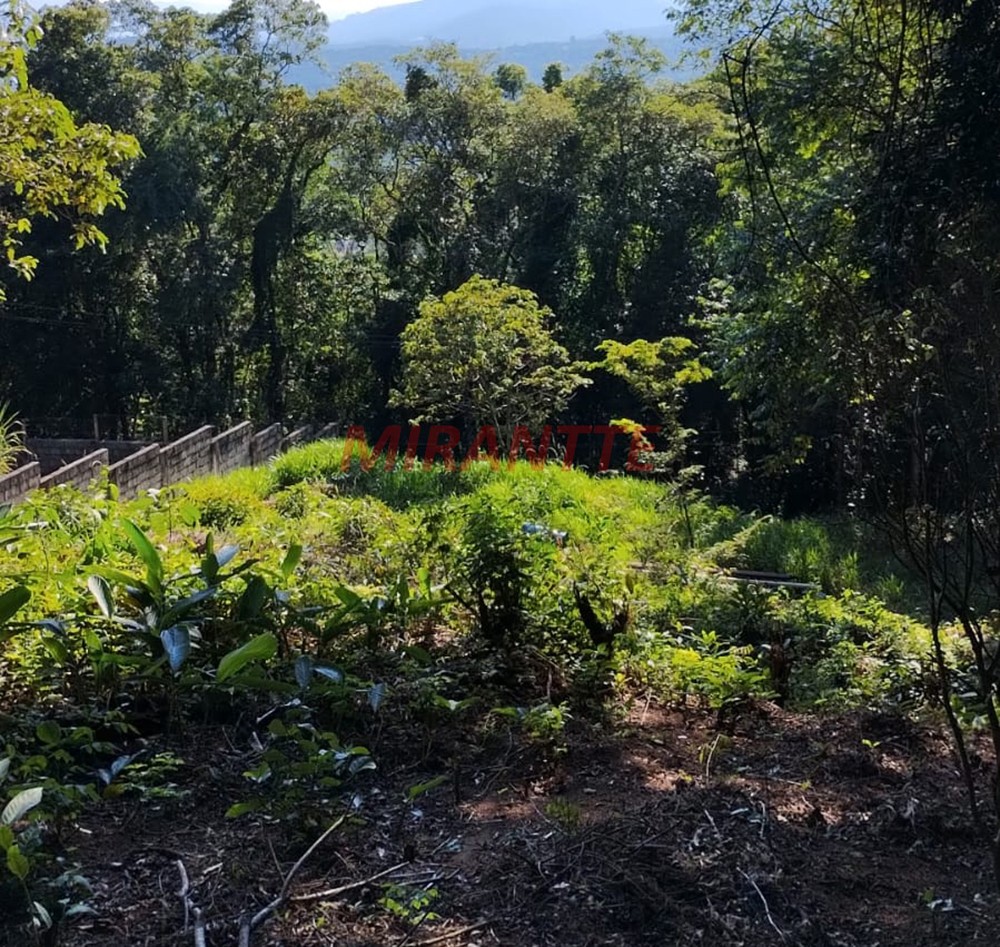 Terreno de 1300m² em Santa Ines
