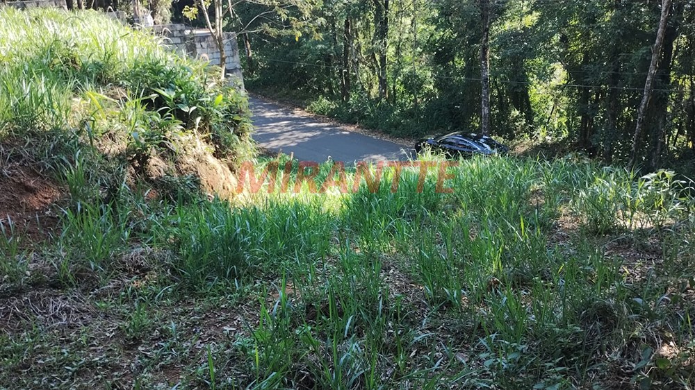 Terreno de 1300m² em Santa Ines