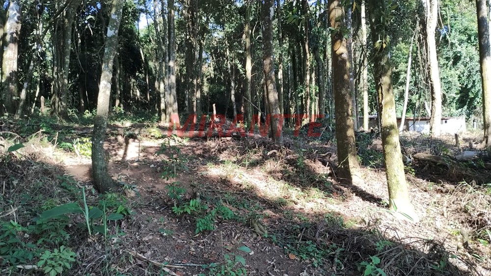 Terreno de 1300m² em Santa Ines
